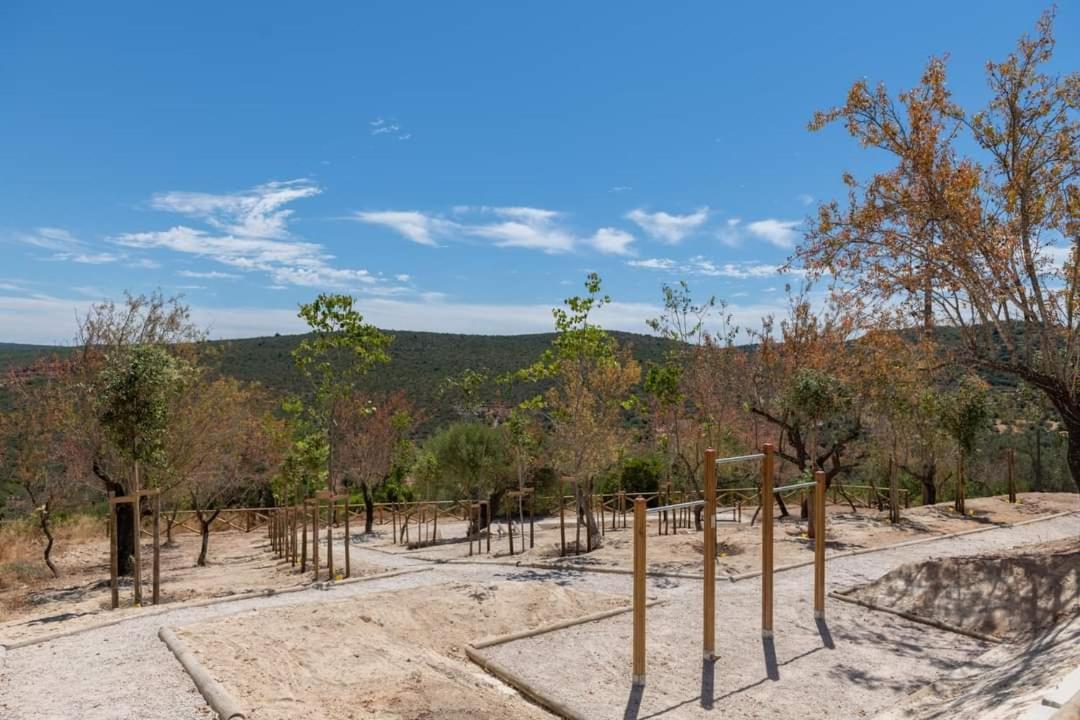 "Oliveiras" Appartement Typique Avec Terrasse Et Piscine Loule Ngoại thất bức ảnh